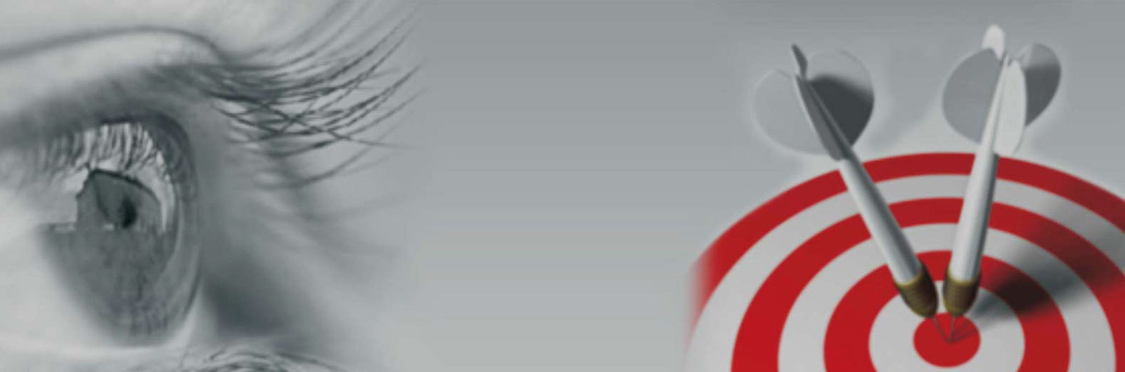 Our Vision
